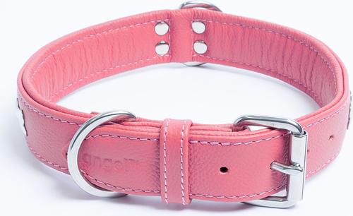 Show full view: Angel Rotterdam Bones Standard Dog Collar, Pink, 24" x 1.25" slide 3 of 6
