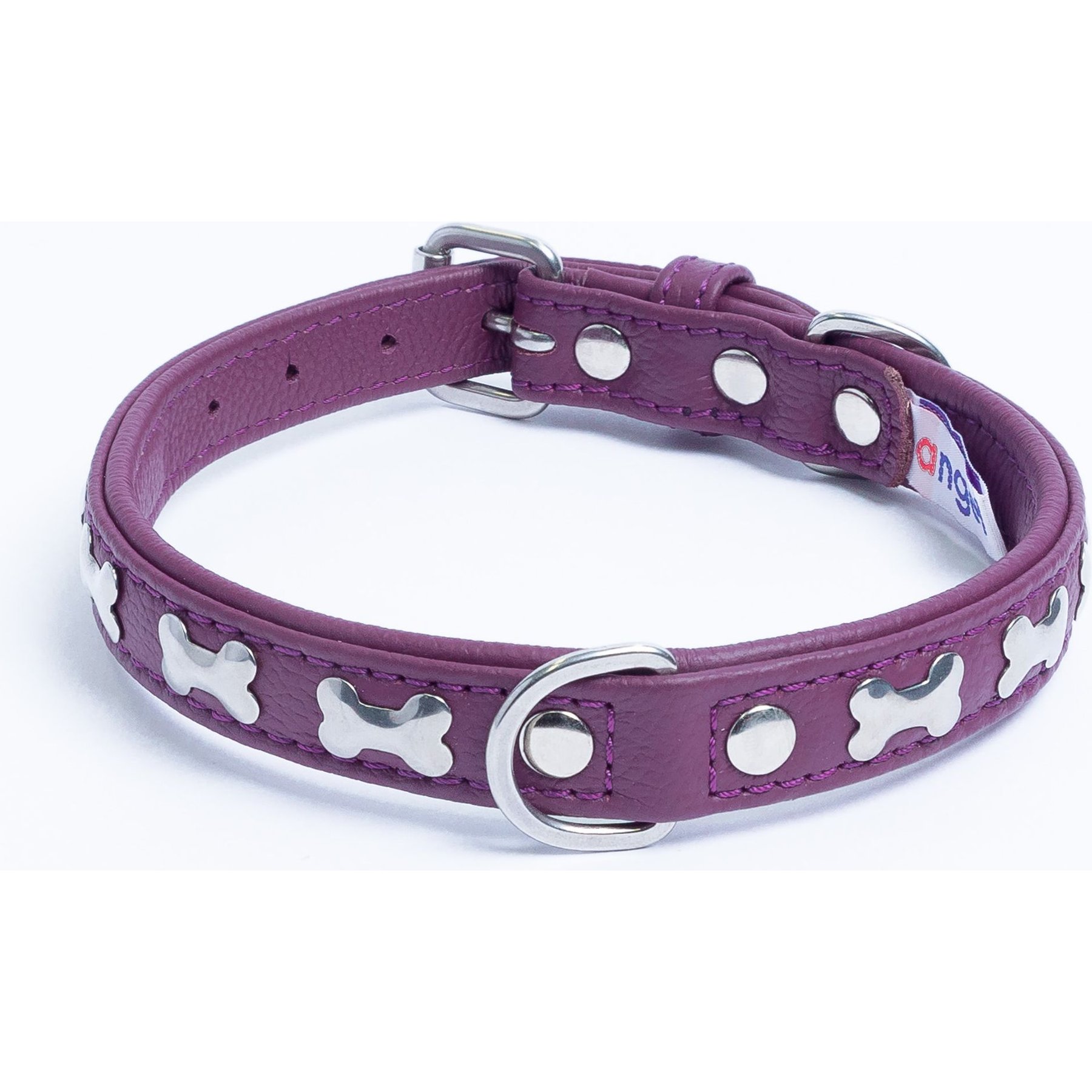Angel Rotterdam Bones Standard Dog Collar, Purple, 14 x 3/4-in