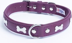 Angel Rotterdam Bones Standard Dog Collar, Purple, 22 x 1-in