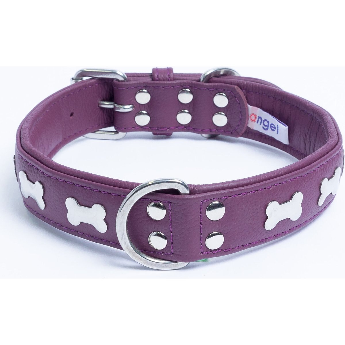 Angel Rotterdam Bones Standard Dog Collar, Purple, 24" x 1.25"