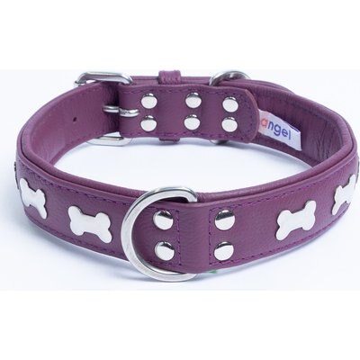 Angel Angel Rotterdam Bones Standard Dog Collar, Purple, 24" x 1.25"