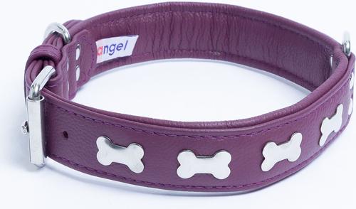 Show full view: Angel Rotterdam Bones Standard Dog Collar, Purple, 24" x 1.25" slide 2 of 6