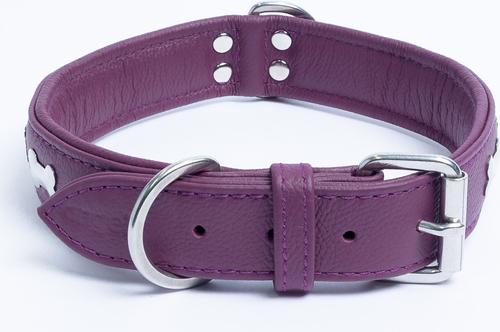 Show full view: Angel Rotterdam Bones Standard Dog Collar, Purple, 24" x 1.25" slide 3 of 6