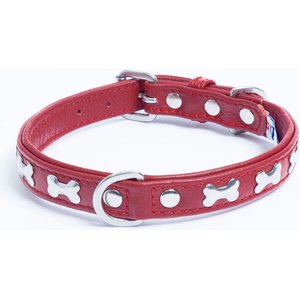 Angel Rotterdam Bones Standard Dog Collar, Red, 16 x 3/4-in