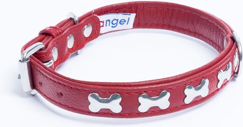 Show full view: Angel Rotterdam Bones Standard Dog Collar, Red, 16 x 3/4-in slide 3 of 7