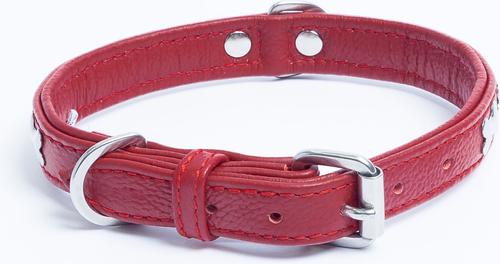 Show full view: Angel Rotterdam Bones Standard Dog Collar, Red, 16 x 3/4-in slide 4 of 7
