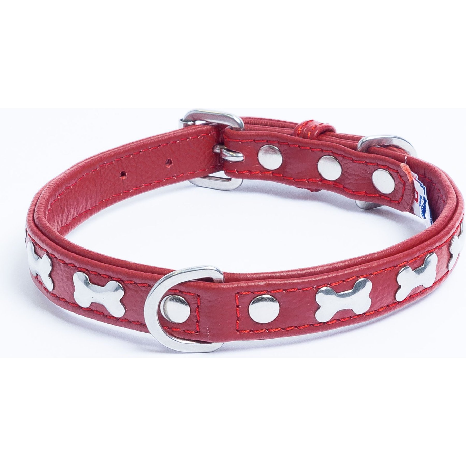 Angel Rotterdam Bones Standard Dog Collar, Red, 18 x 3/4-in