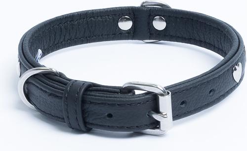 Show full view: Angel Rotterdam Hearts Standard Dog Collar, Black, 14 x 3/4-in slide 4 of 7