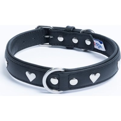 Angel Angel Rotterdam Hearts Standard Dog Collar, Black, 22 x 1-in
