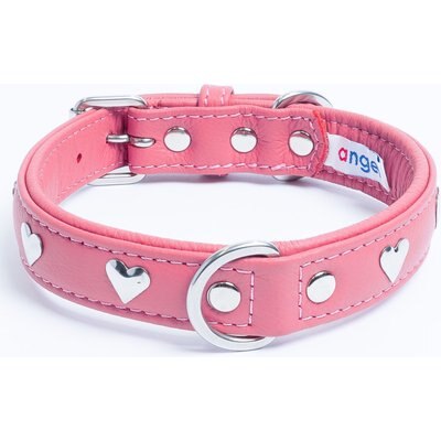 Angel Angel Rotterdam Hearts Standard Dog Collar, Pink, 22 x 1-in