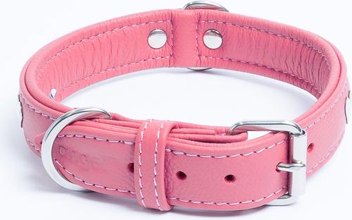 Show full view: Angel Rotterdam Hearts Standard Dog Collar, Pink, 22 x 1-in slide 4 of 7