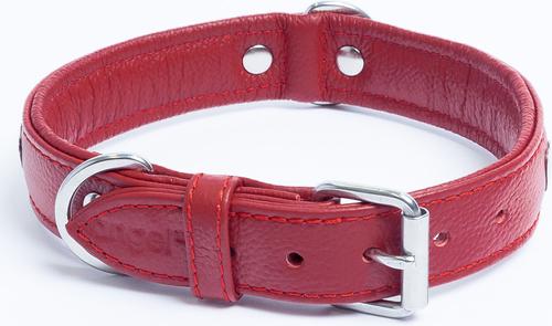 Show full view: Angel Rotterdam Hearts Standard Dog Collar, Red, 22 x 1-in slide 4 of 7