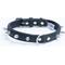 Show in main carousel: Angel Rotterdam Single-line Spiked Standard Dog Collar, Black, 14 x 3/4-in slide 1 of 6