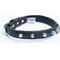 Show in main carousel: Angel Rotterdam Single-line Spiked Standard Dog Collar, Black, 14 x 3/4-in slide 2 of 6