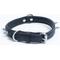 Show in main carousel: Angel Rotterdam Single-line Spiked Standard Dog Collar, Black, 14 x 3/4-in slide 3 of 6