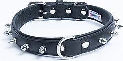 Angel Rotterdam Single-line Spiked Standard Dog Collar, Black, 22 x 1-in slide 1 of 5