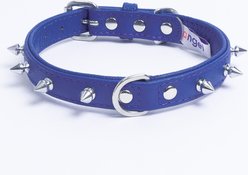 Angel Rotterdam Single-line Spiked Standard Dog Collar, Blue, 12 x 5/8-in