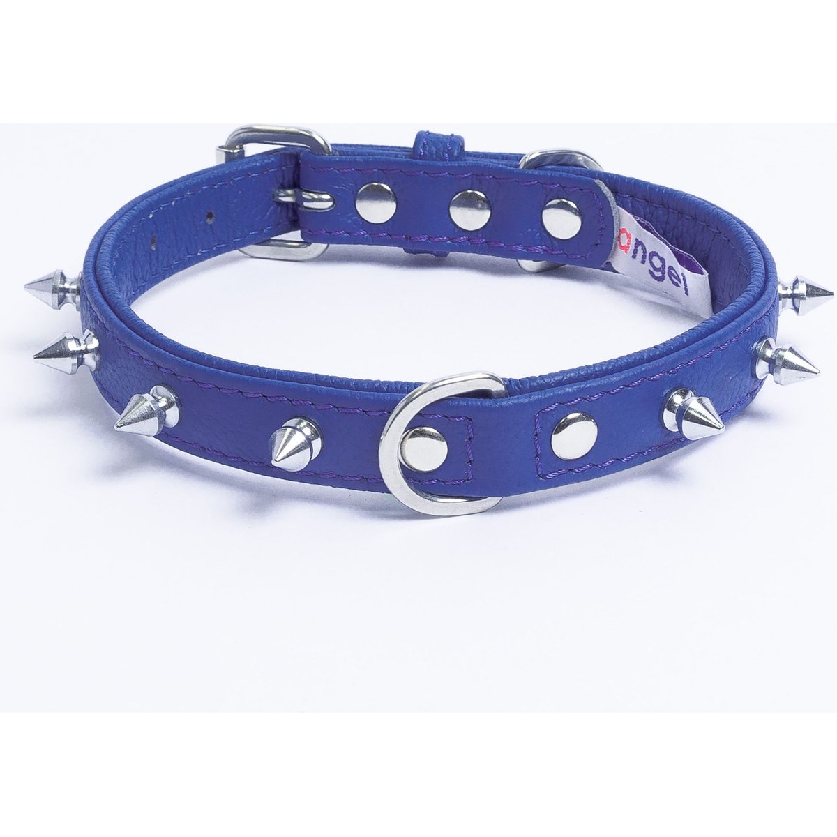 Angel Rotterdam Single-line Spiked Standard Dog Collar, Blue, 12 x 5/8-in