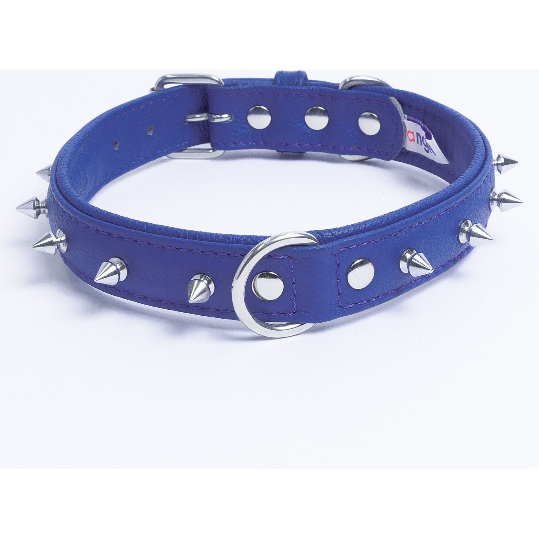 Angel Rotterdam Single-line Spiked Standard Dog Collar, Blue, 20 x 1-in