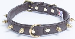 Angel Rotterdam Single-line Spiked Standard Dog Collar, Brown, 16 x 3/4-in