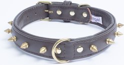 Angel Rotterdam Single-line Spiked Standard Dog Collar, Brown, 22 x 1-in