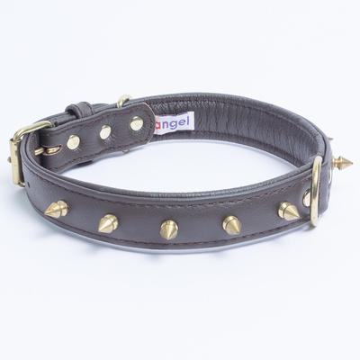 Show full view: Angel Rotterdam Single-line Spiked Standard Dog Collar, Brown, 22 x 1-in slide 2 of 7