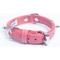 Show in main carousel: Angel Rotterdam Single-line Spiked Standard Dog Collar, Pink, 12 x 5/8-in slide 4 of 7