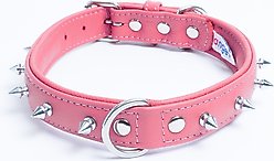 Angel Rotterdam Single-line Spiked Standard Dog Collar, Pink, 16 x 3/4-in