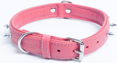 Show full view: Angel Rotterdam Single-line Spiked Standard Dog Collar, Pink, 18 x 3/4-in slide 4 of 7