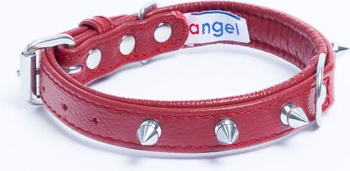 Show full view: Angel Rotterdam Single-line Spiked Standard Dog Collar, Red, 12 x 5/8-in slide 2 of 6