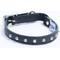 Show in main carousel: Angel Studded Standard Cat Collar, Black, 10 x 1/2-in slide 1 of 6