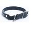 Show in main carousel: Angel Studded Standard Cat Collar, Black, 10 x 1/2-in slide 3 of 6