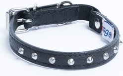 Angel Studded Standard Cat Collar, Black, 12 x 1/2-in