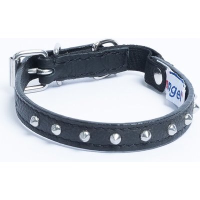 Angel Angel Studded Standard Cat Collar, Black, 12 x 1/2-in
