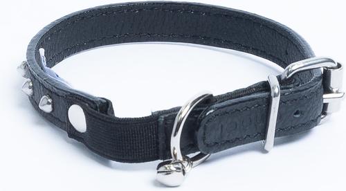 Show full view: Angel Studded Standard Cat Collar, Black, 12 x 1/2-in slide 3 of 7