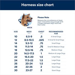 Angel Studded Standard Cat Collar, Purple, 10 x 1/2-in slide 2 of 4