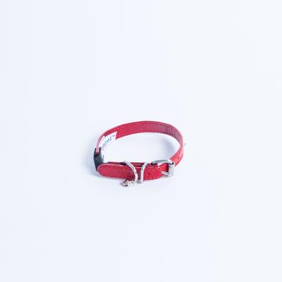 Show full view: Angel Studded Standard Cat Collar, Red, 12 x 1/2-in slide 3 of 7