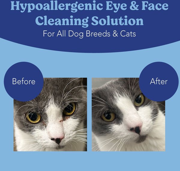 Angels' Eyes Gentle Tear Stain Wipes for Dogs