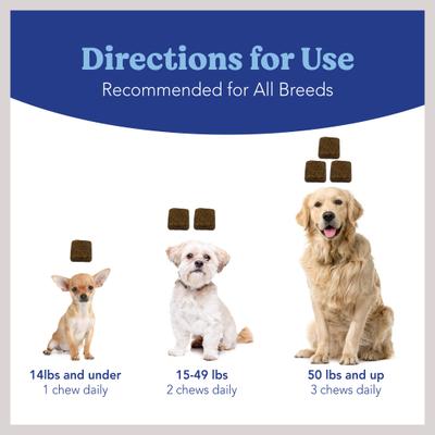 Show full view: Angels' Eyes Natural Chicken Flavored Soft Chew Tear Stain Supplement for Dogs & Cats, 120 count slide 6 of 11