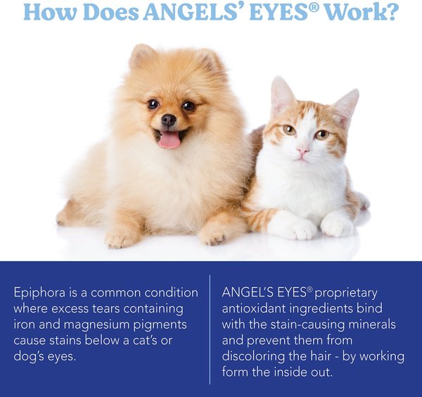 Show full view: Angels' Eyes Natural Chicken Flavored Soft Chew Tear Stain Supplement for Dogs & Cats, 120 count slide 7 of 9