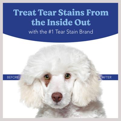 Show full view: Angels' Eyes Natural Plus Beef Flavored Powder Tear Stain Supplement for Dogs & Cats, 1.59-oz bottle slide 7 of 10