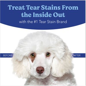 Angels' Eyes Natural Plus Beef Flavored Powder Tear Stain Supplement for Dogs & Cats, 2.64-oz bottle