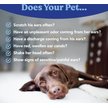 Show in main carousel: Angels' Eyes Zinc-Otic Ear Relief Treatment for Dogs & Cats, 1-fl oz bottle slide 4 of 8