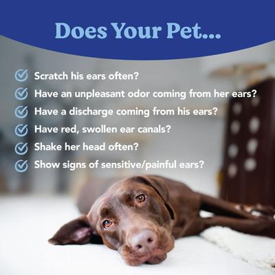 Show full view: Angels' Eyes Zinc-Otic Ear Relief Treatment for Dogs & Cats, 1-fl oz bottle slide 5 of 9