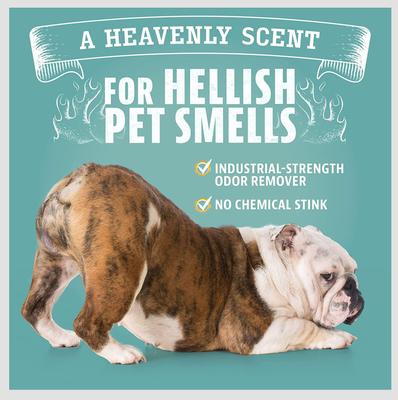 Show full view: Angry Orange RTU Orange Scented Carpet Odor Eliminator, 128-fl oz bottle slide 7 of 8