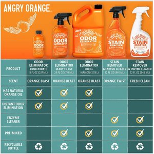 Angry Orange RTU Orange Scented Carpet Odor Eliminator, 128-fl oz bottle