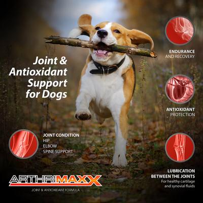 Show full view: Animal Nutritional Products ArthriMAXX Joint Support & Antioxidant Dog Supplement, 32-fl oz bottle slide 5 of 11