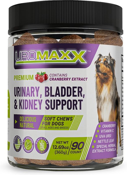 Show full view: Animal Nutritional Products UroMAXX Chews Urinary Kidney & Bladder formula Dog Supplement, 90 count slide 1 of 8