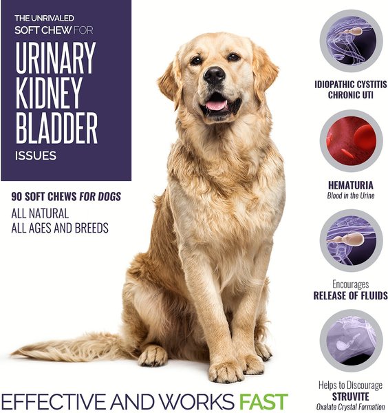 Show full view: Animal Nutritional Products UroMAXX Chews Urinary Kidney & Bladder formula Dog Supplement, 90 count slide 2 of 8