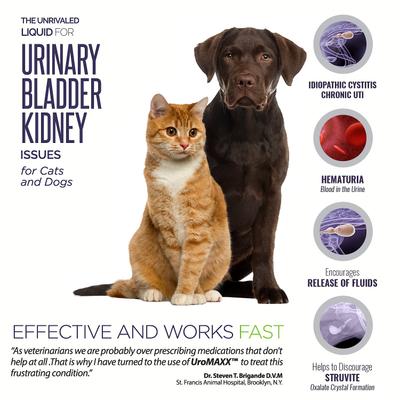 Show full view: Animal Nutritional Products UroMAXX Urinary, Kidney & Bladder Dog & Cat Supplement, 6-fl oz bottle slide 3 of 11